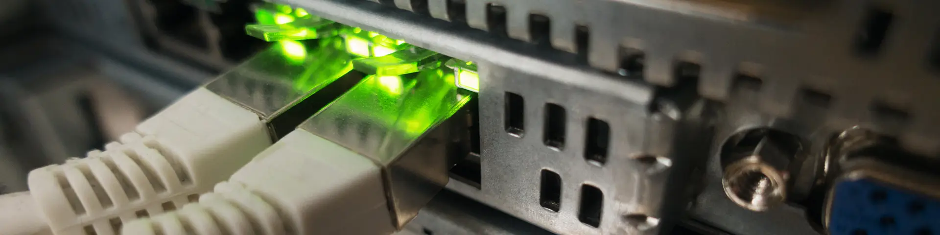 Three ethernet cables plugged into hardware resulting in green lights at each port.