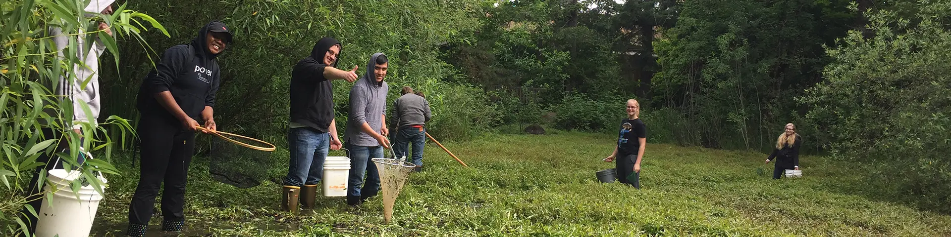 Biology students in the field collecting small animals from a wetland for analysis.