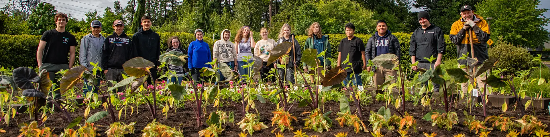 A line of horticulture students posing behind rows of young inground plants at the Oregon City campus.