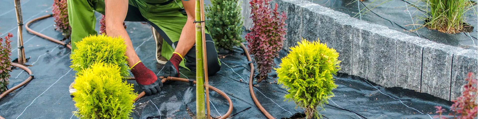 Irrigation technician installing a watering system