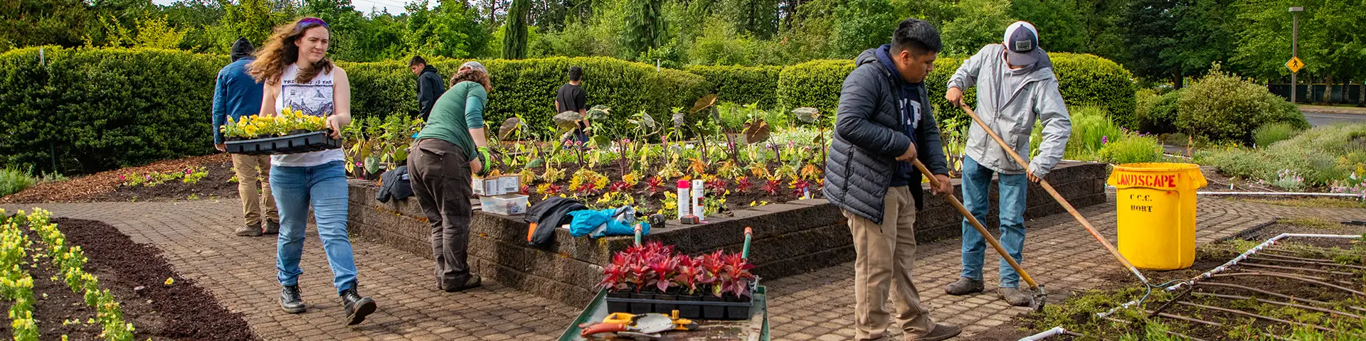 Students landscaping a yard