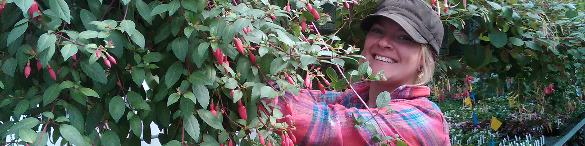 Student tending to a hanging plant with pink flowers in a greenhouse at the Oregon City campus.