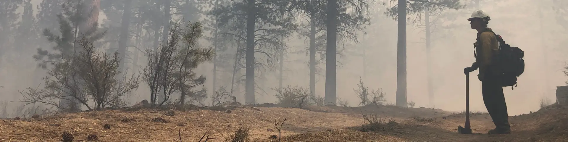 Firefighter standing in a smoky pine forest with their axe and backpack full of gear.