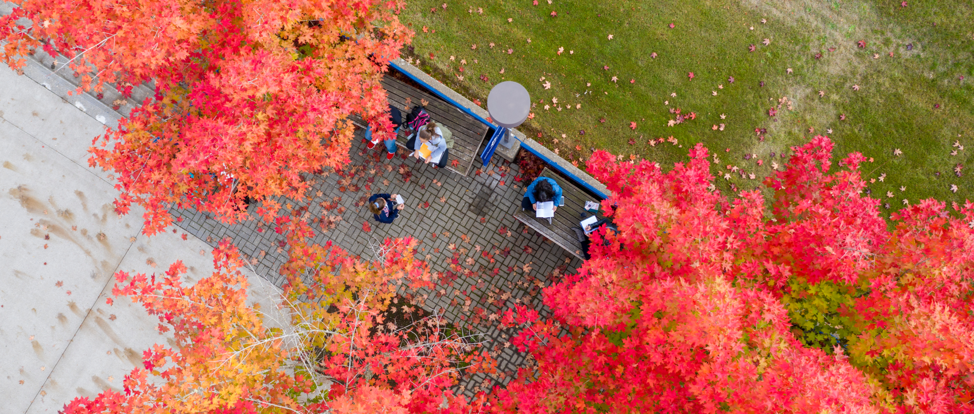 Aerial view of CCC Oregon City campus with fall leaves