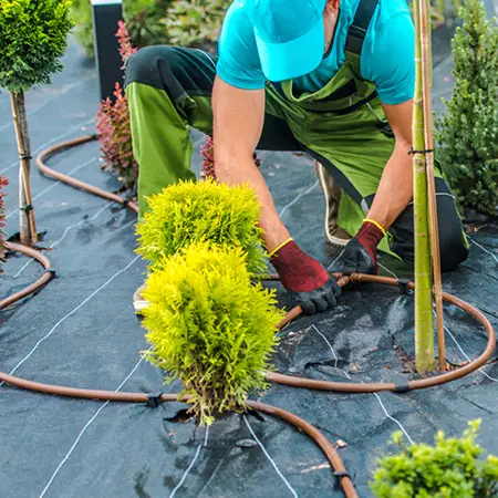 Irrigation technician installing a watering system