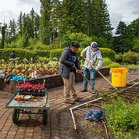 Two students are landscaping a yard.