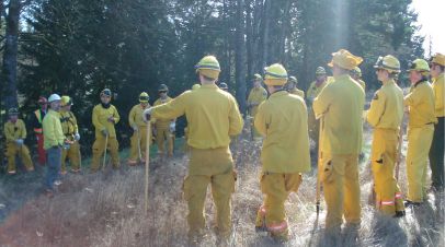 Emergency Management Programs Launch Firefighters stand in a circle at the forest edge making fire management plans.