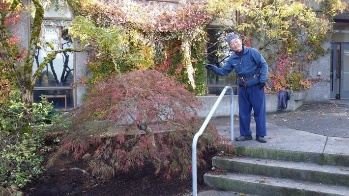 Japanese_Style_Pruning_resized Person pruning a tree